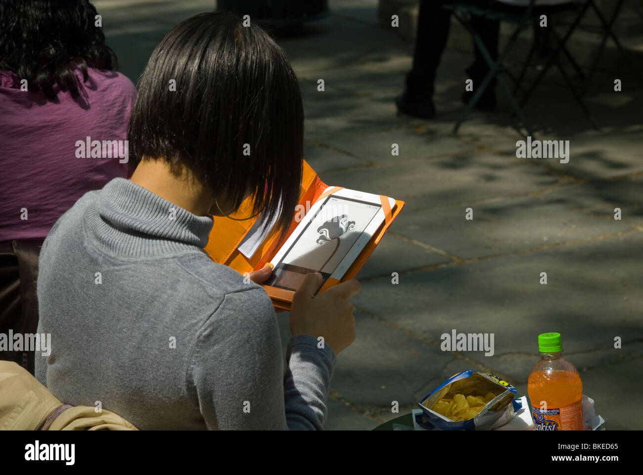 Ein Leser verwendet ihr Barnes & Noble Nook e-Book Reader im Bryant Park in New York Stockfoto