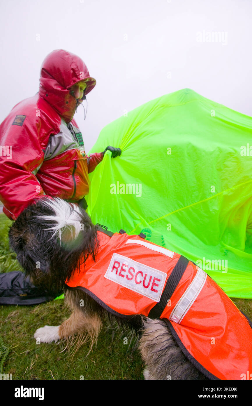 Suchen Sie Hundeführer als Mitglied des Langdale Ambleside Mountain Rescue Team auf eine Rettung an einem sehr regnerischen Tag. Stockfoto