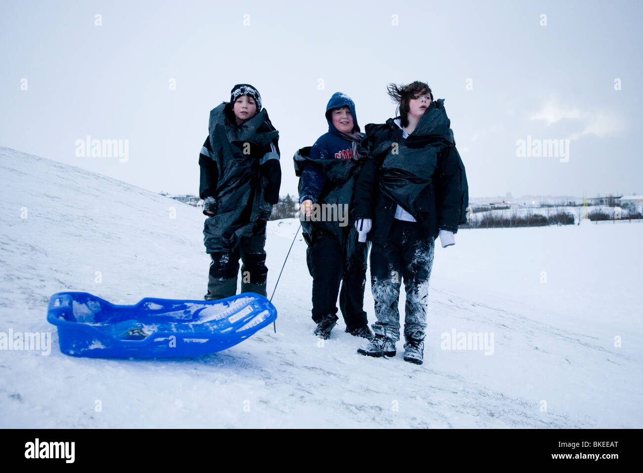 Drei Jungs posieren für die Kamera im Schnee, Hafnarfjordur, größere Fläche, Island Stockfoto