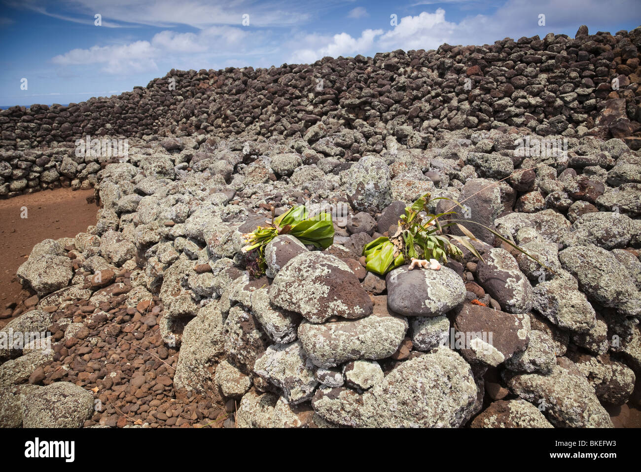 Angebote an Mo'okini Heiau welche Termine über 1500 Jahre zurück und war der Aufstellungsort von vielen Menschenopfer. Stockfoto