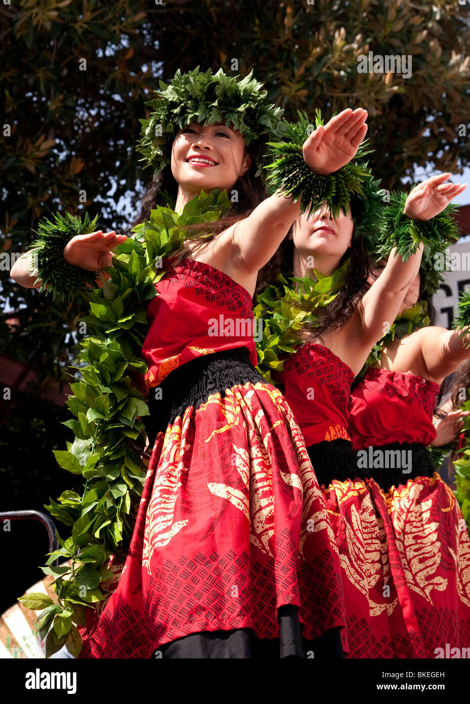 Hawaiian Hula-Tänzer Stockfoto