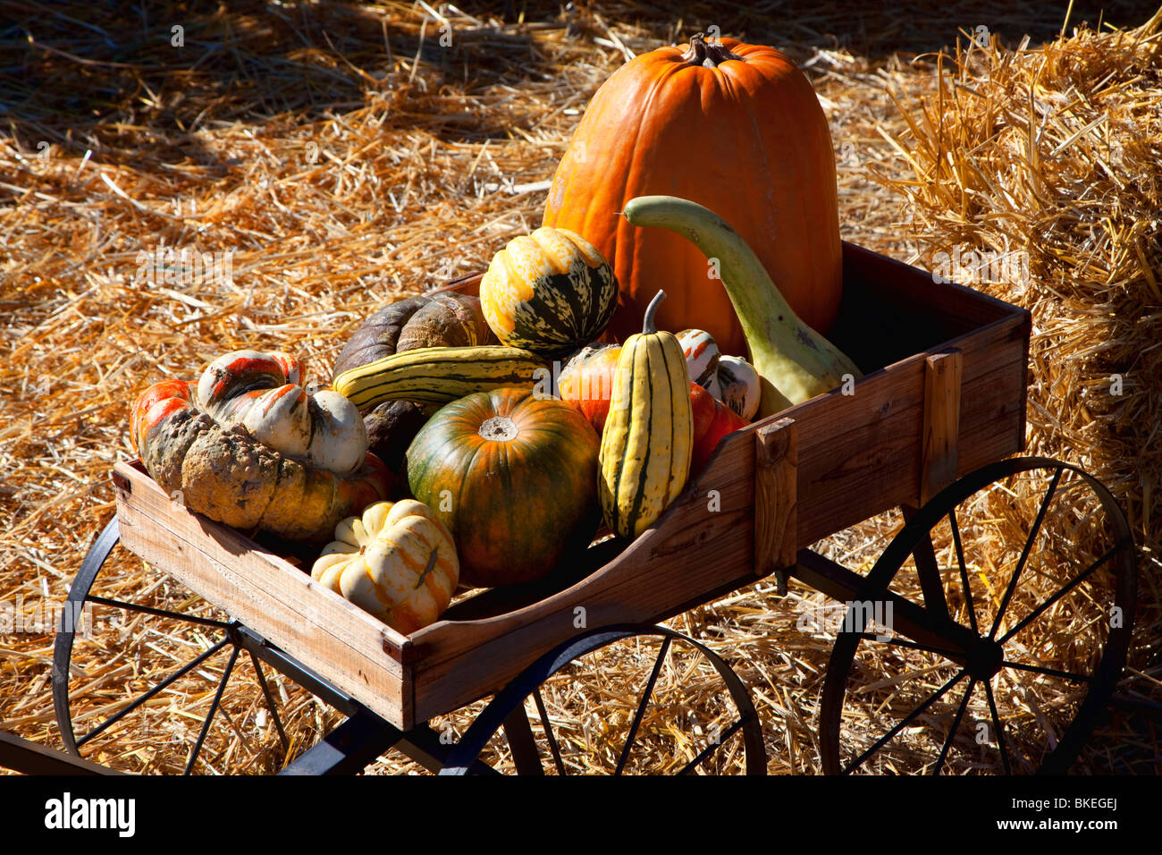 Alte Wagen voller Herbst Früchte Stockfoto