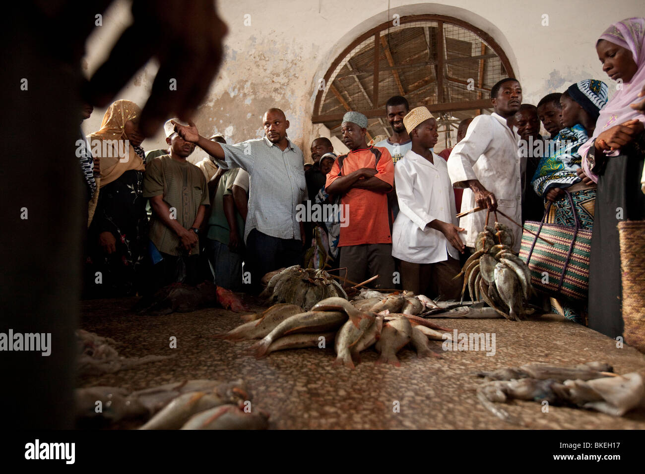 Fisch-Auktion - Stonetown, Sansibar, Tansania. Stockfoto