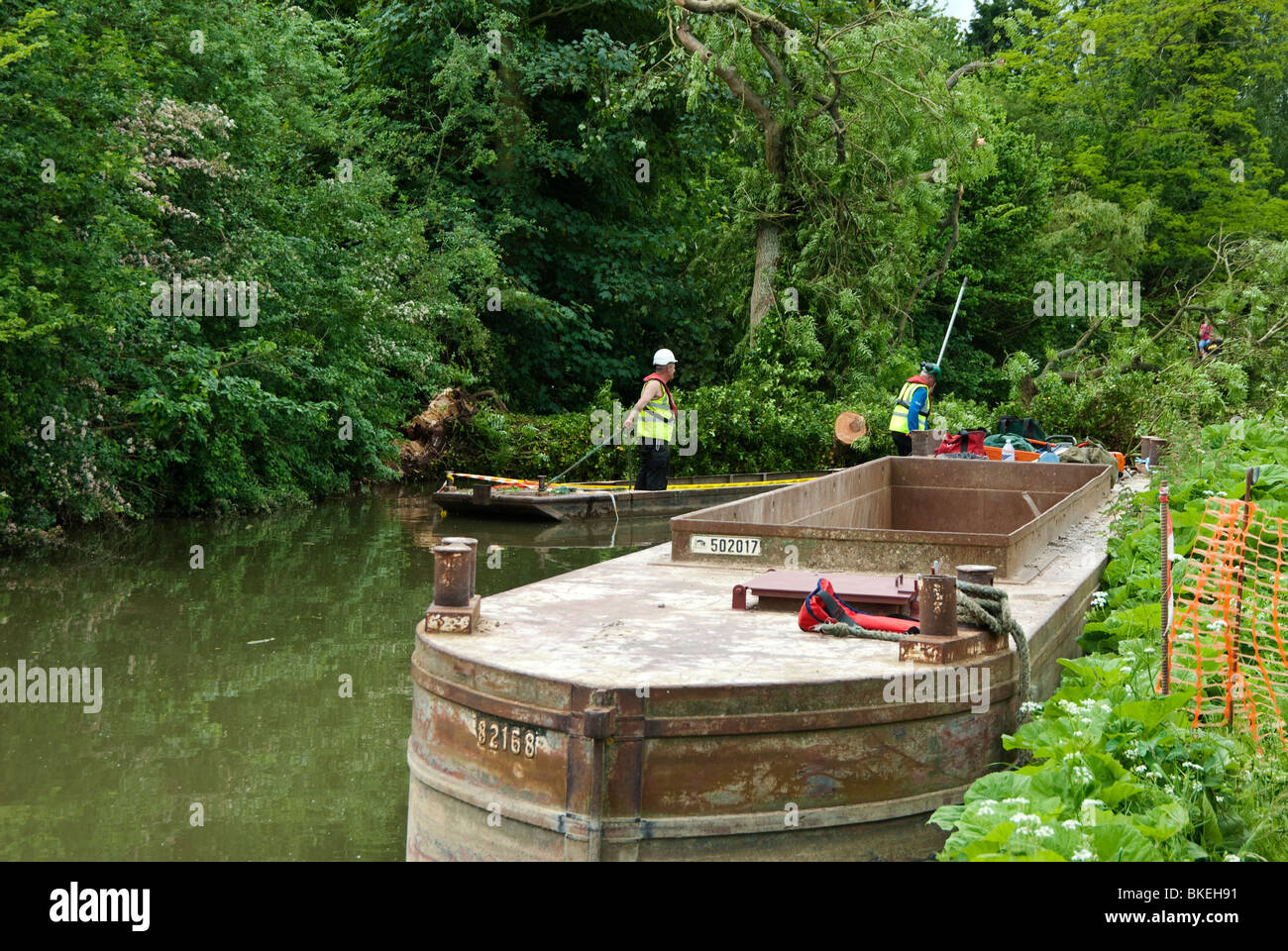 Bagger-Boot am Oxford-Kanal und Männer entfernen umgestürzter Baum aus dem Kanal. Stockfoto