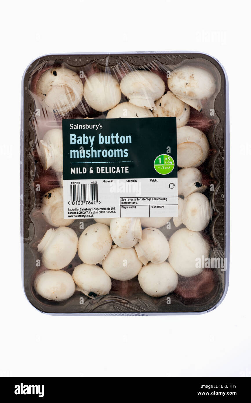 Körbchen Pack von Sainsbury's Baby Champignons Stockfoto