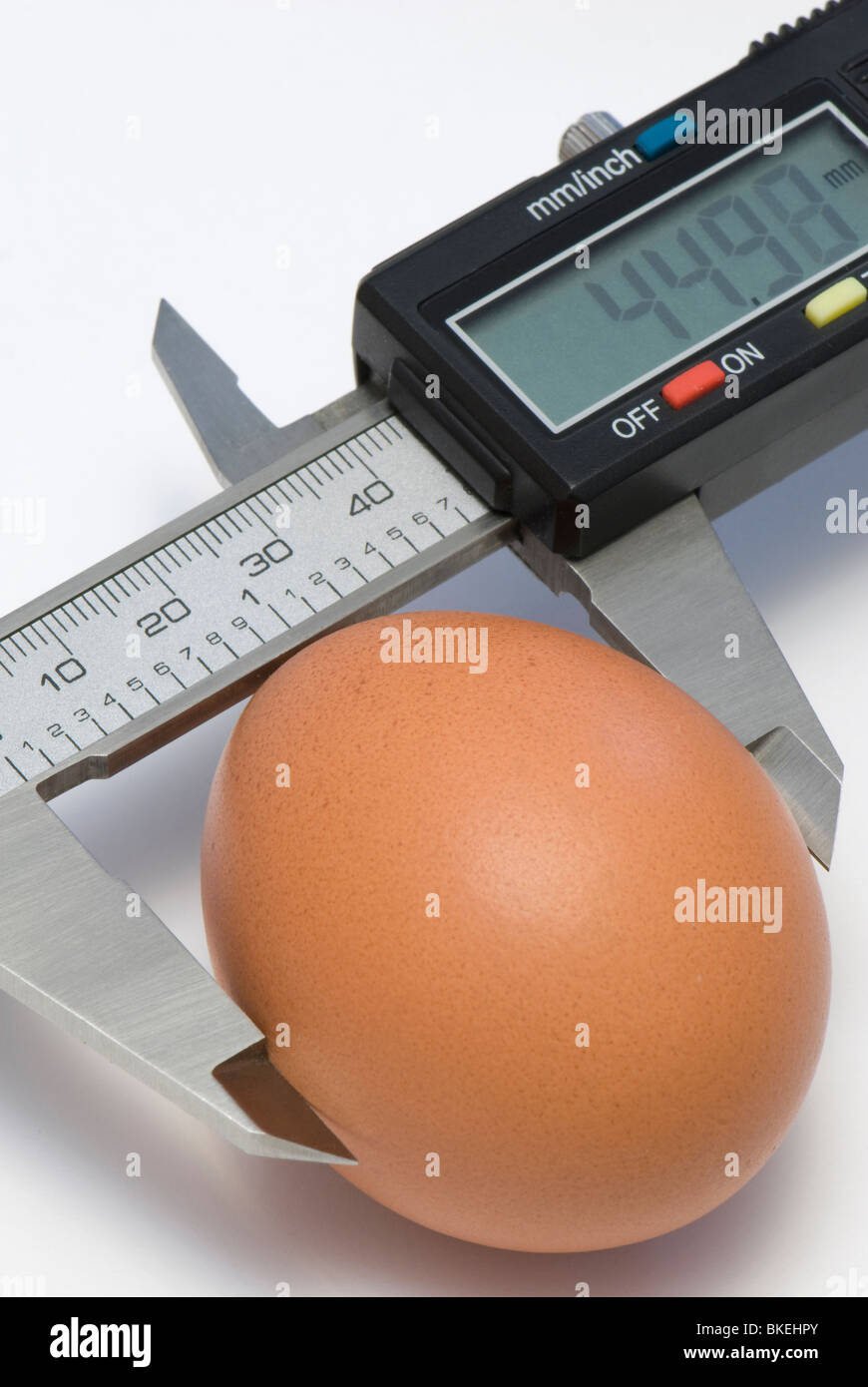 Einziges Ei unter Kalibrierung von elektronischen digitalen Bremssattel Stockfoto