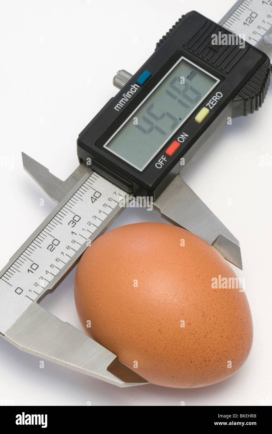 Einziges Ei unter Kalibrierung Stockfoto