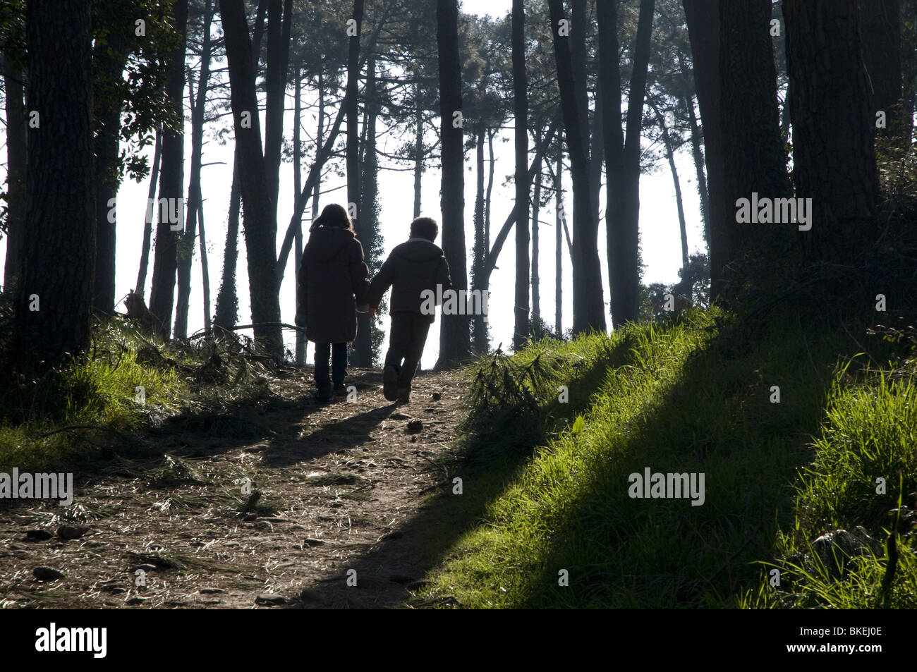 Zwei junge Kinder (jungen und Mädchen 7-8 Jahre alt) Fuß in Anglet Chibertas Wald. Stockfoto