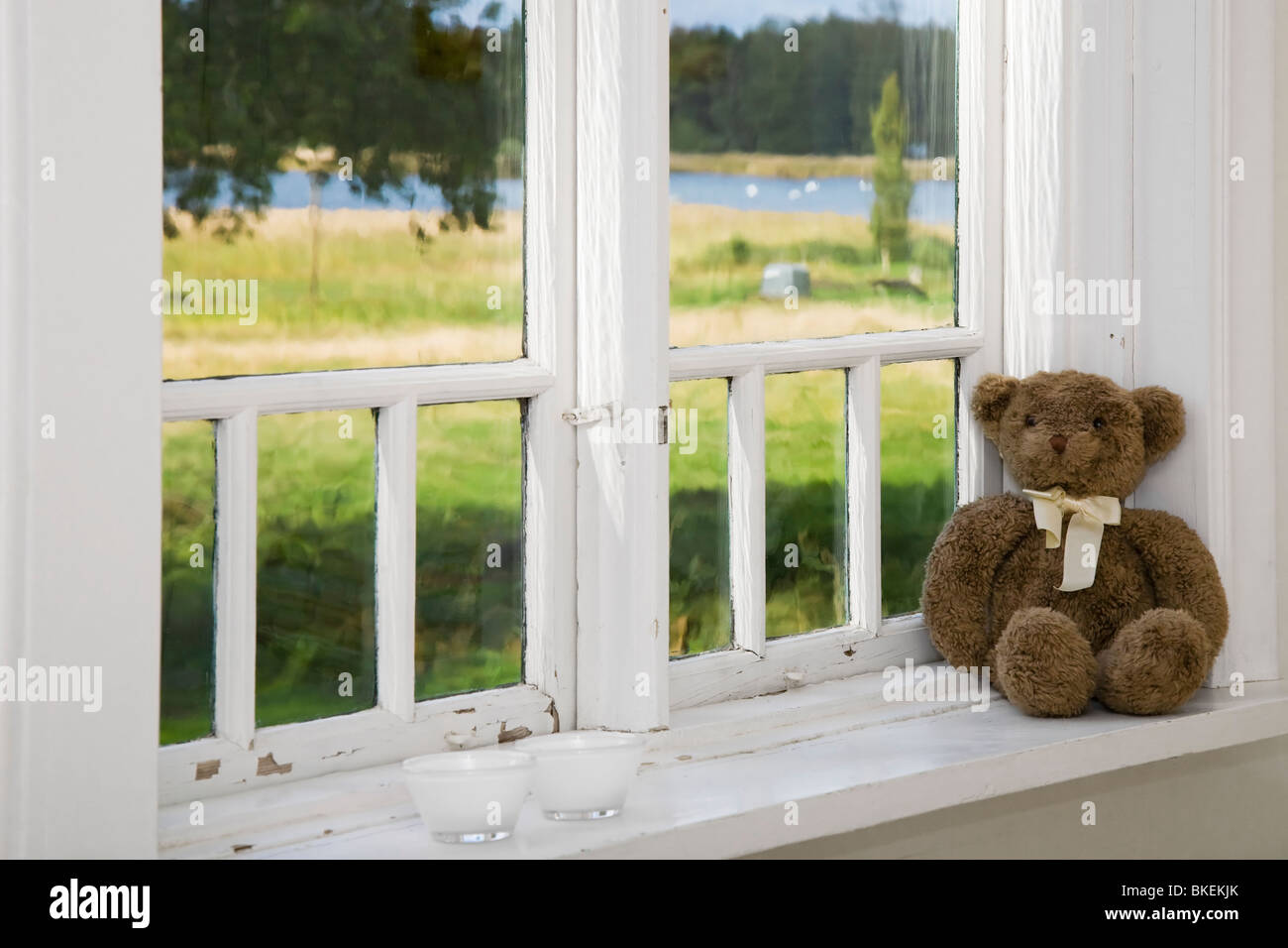 Teddy-Bär auf einem Fensterbrett. Stockfoto