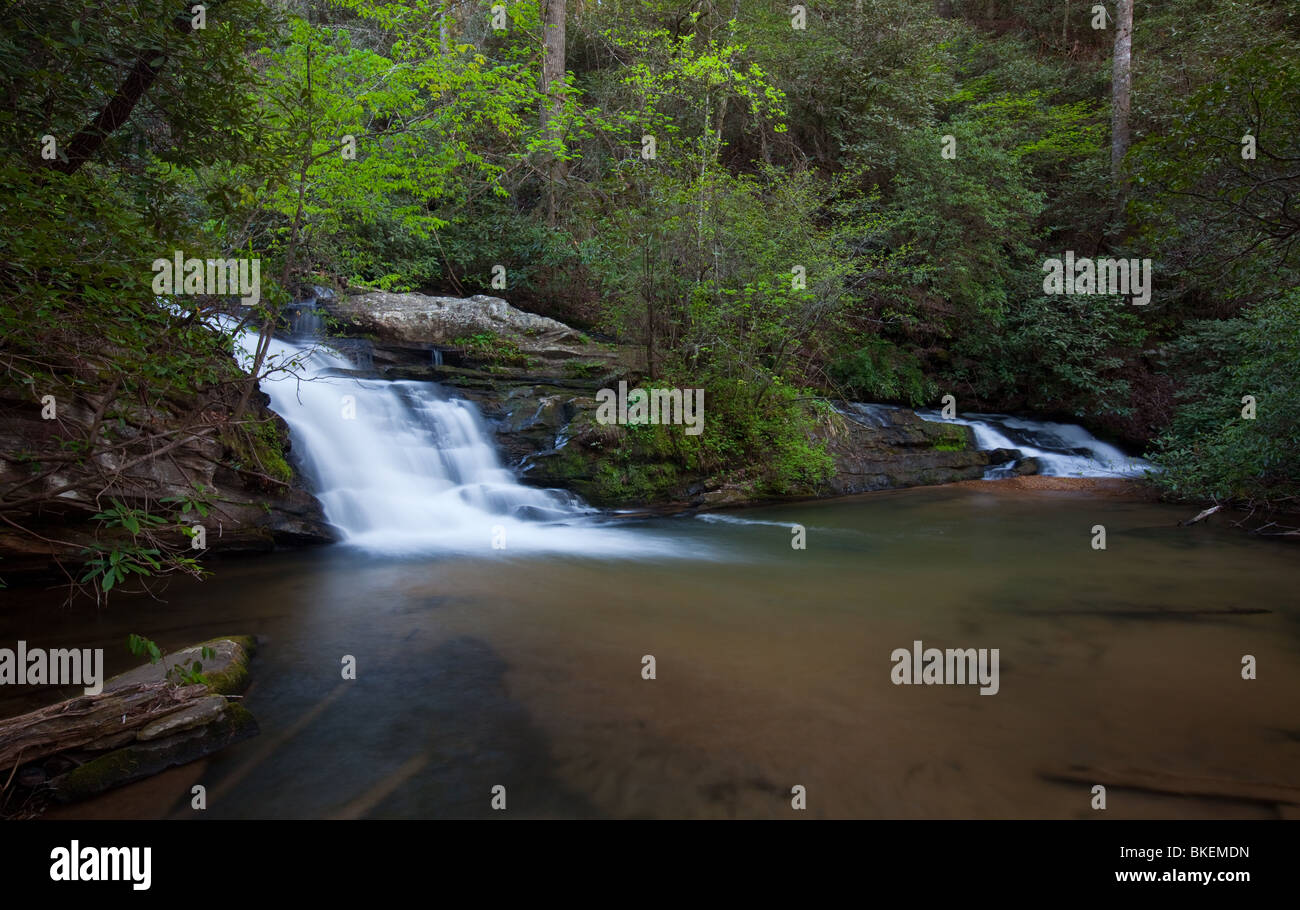 Schweinestall fällt, Licklog Creek, Andrews Pickens Ranger District, Sumter National Forest, South Carolina Stockfoto