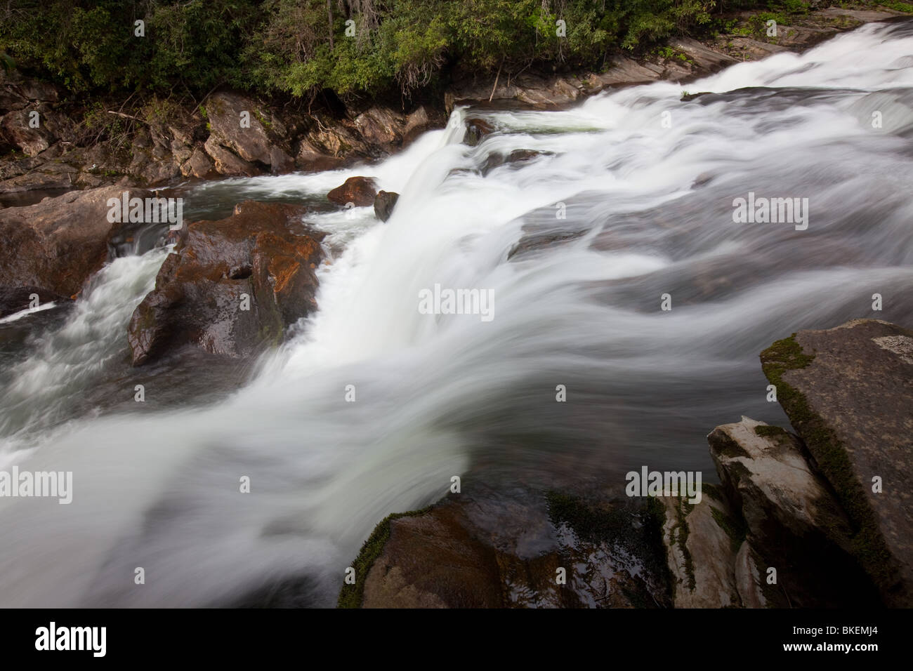 Big Bend fällt, Chattooga River, Chattooga Wild & Scenic River, Sumter National Forest, South Carolina Stockfoto