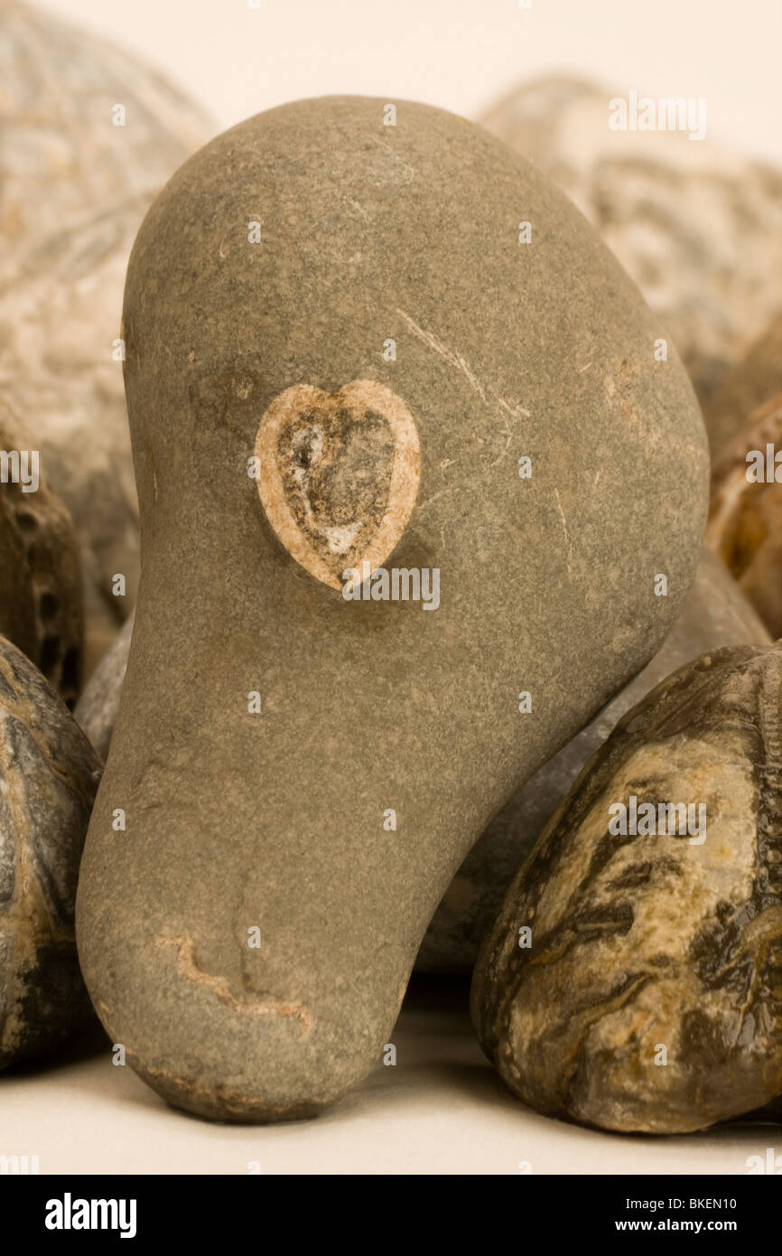 Eine perfekte Herzform mit einem Smiley-Gesicht in ihr in einem Stein. Stockfoto