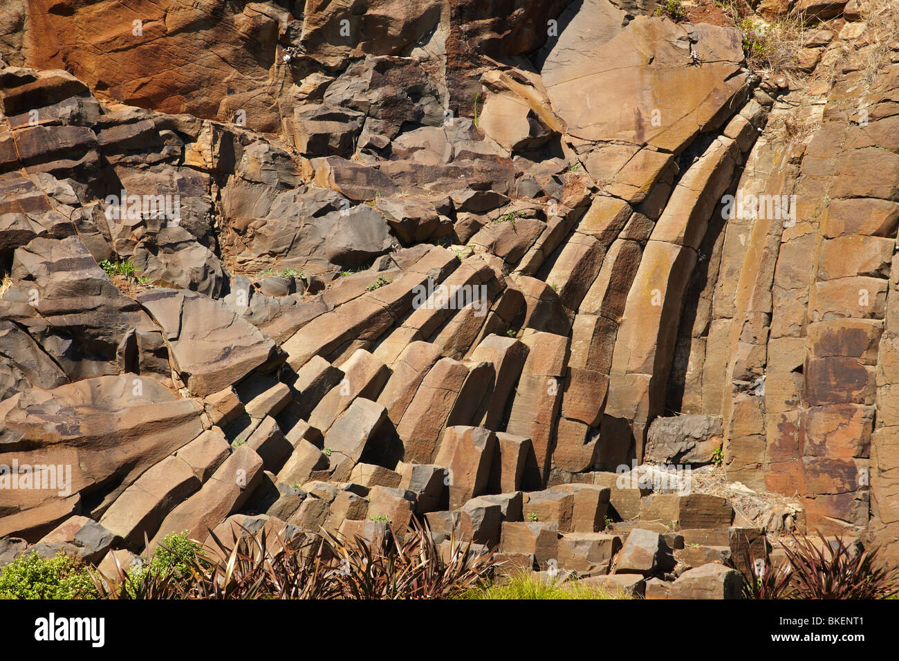 Ungewöhnliche Rock-Formationen, Marine Terrace, Burnie, nördlichen Tasmanien, Australien Stockfoto