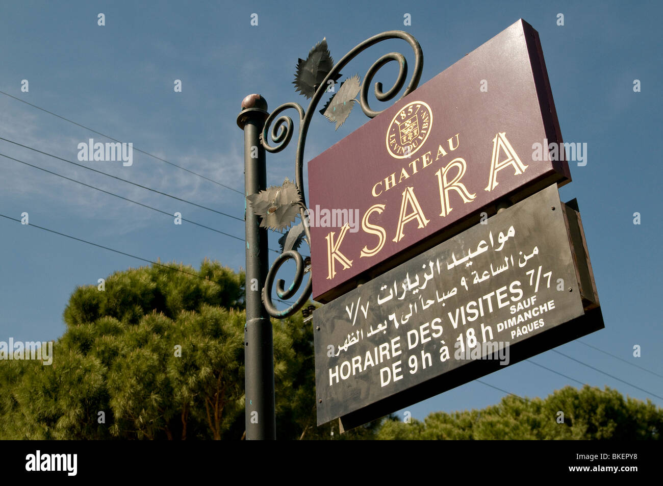 KSARA WEINBERGE IM BEKAA-TAL, LIBANON Stockfoto