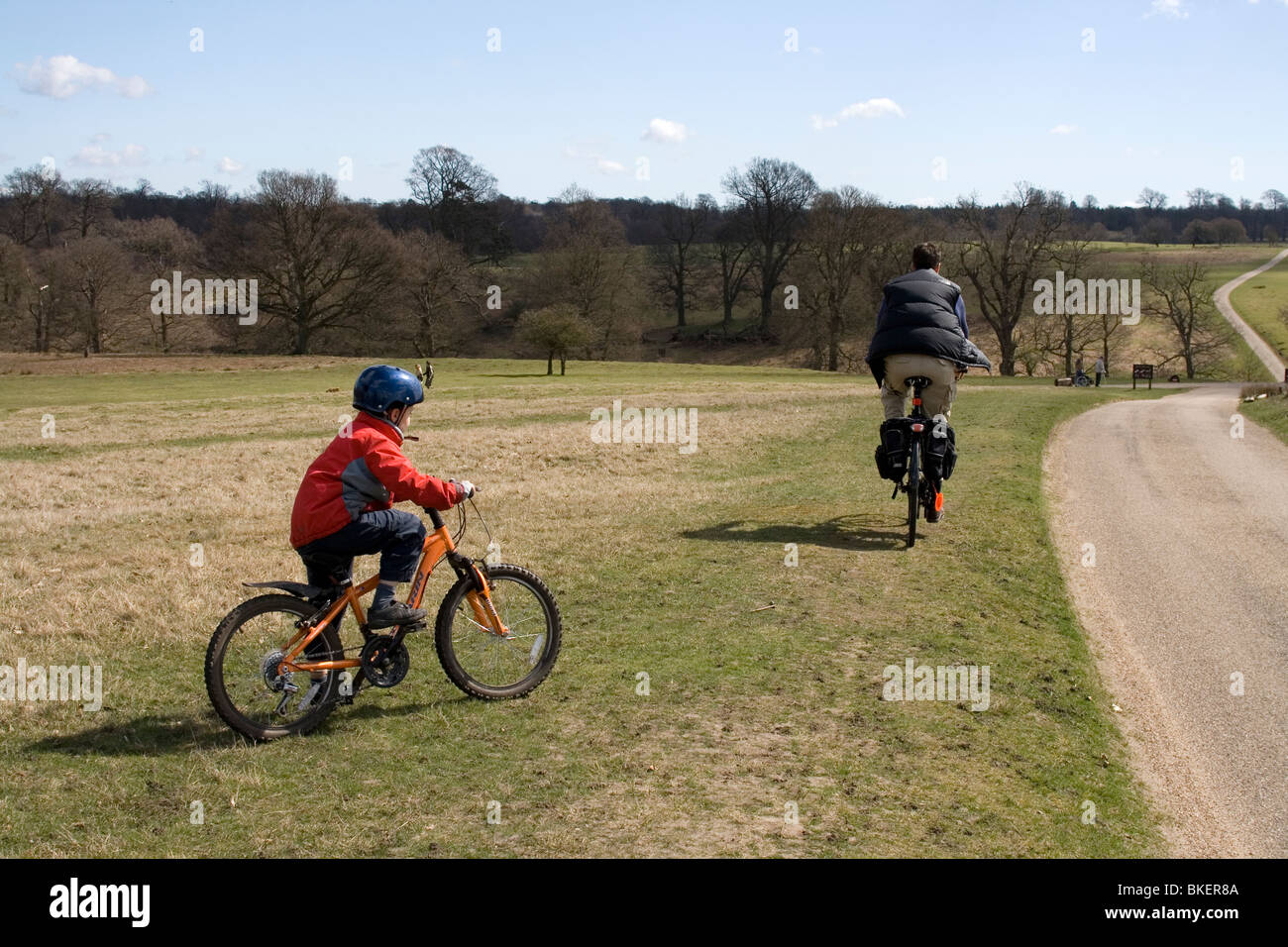 Knole Park, Kent, England. Stockfoto