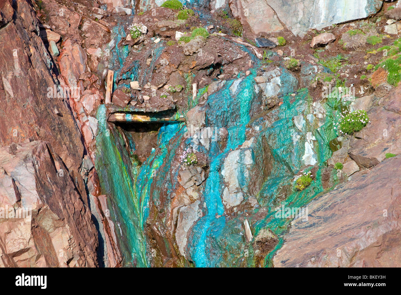 Meeresklippen gebeizt Grün von Kupfervorkommen Auswaschung aus dem alten Geevor Tin Mine in der Nähe von St Just in Cornwall, Großbritannien Stockfoto
