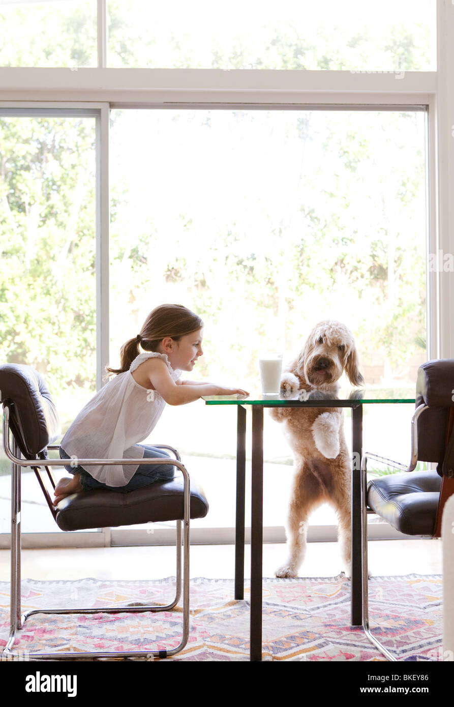 Junge Mädchen und Hund an moderner Tisch mit Glas Milch Stockfoto