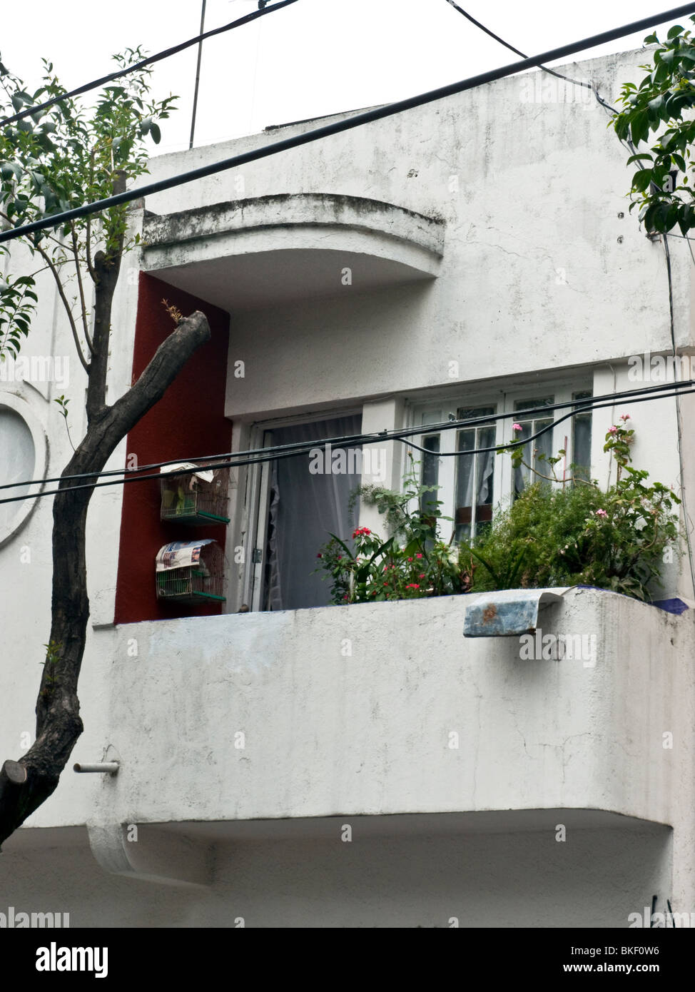 fröhliche Balkon des Art-Deco-Haus in Condesa Stadtteil Mexiko-Stadt mit gebogenen Vordach blühenden Blumen & Vogelkäfige Stockfoto