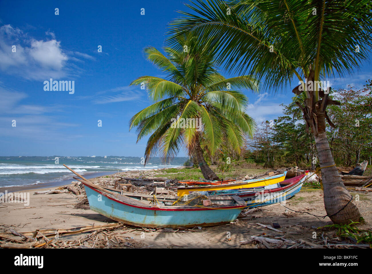 Palmen und alte Fischerboote säumen die Küste des westlichen Puerto Rico. Stockfoto