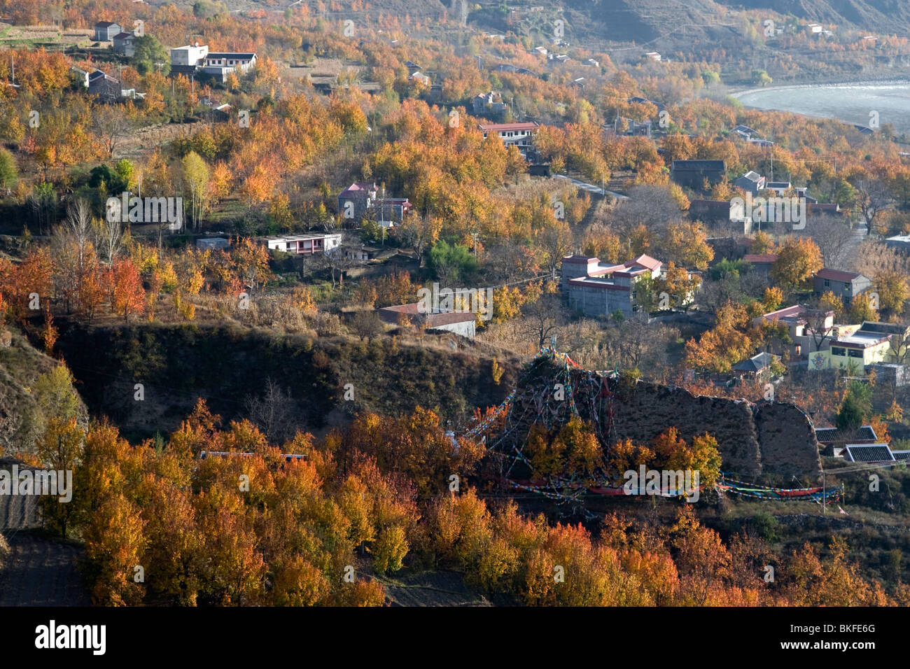 Die Obstgärten von Birnbäumen in Jinchuan wiederum ein unglaublich leuchtend rot im Herbst. Stockfoto