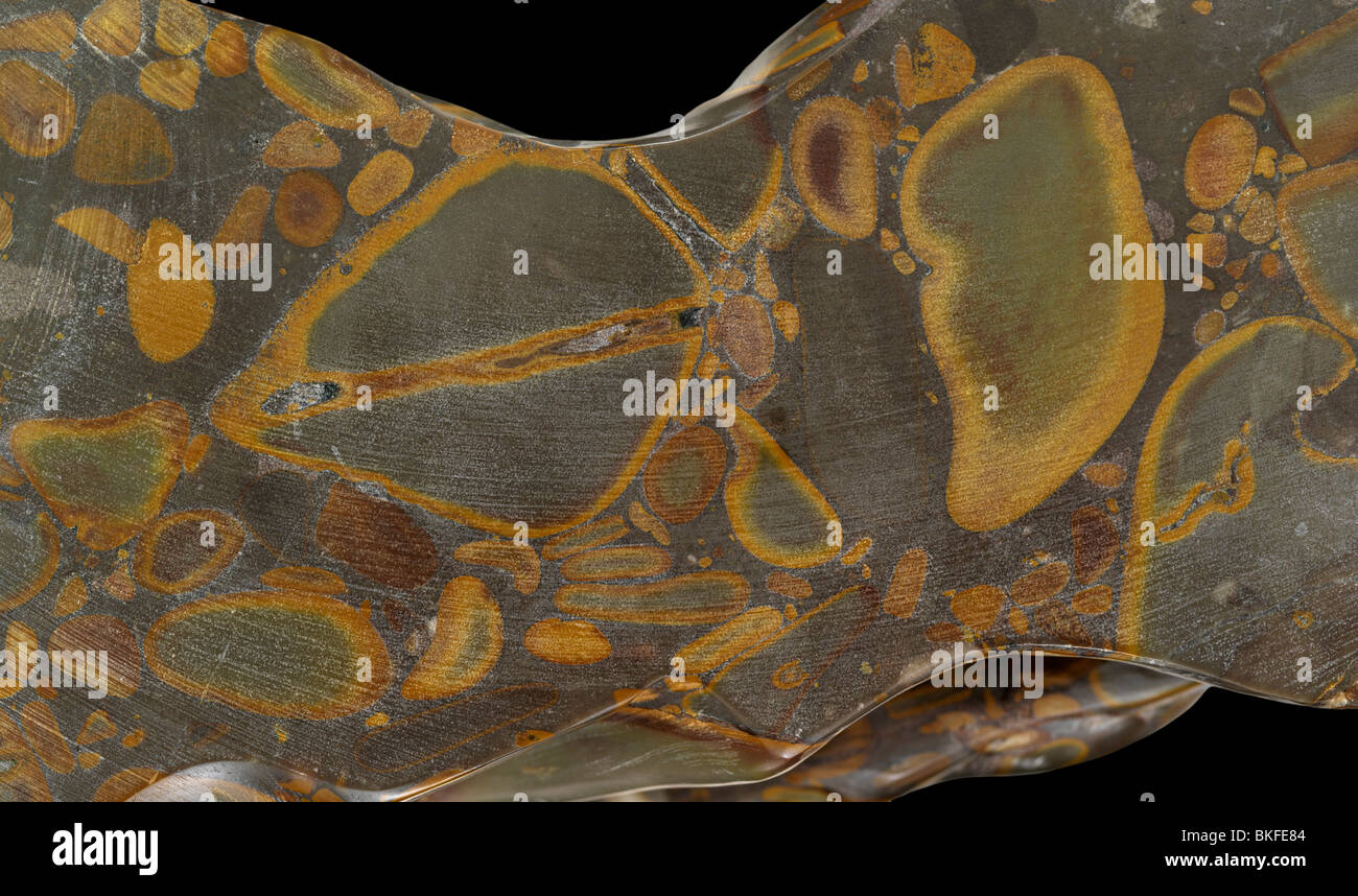 Sägeschnitt Querschnitt von Jasper vor einem schwarzen Hintergrund. Stockfoto