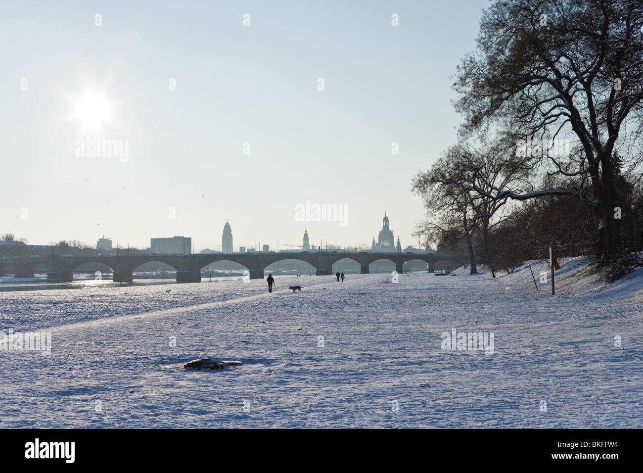 Winterlandschaft in den verschneiten Ufern des Flusses Elbe in Dresden, Deutschland Stockfoto