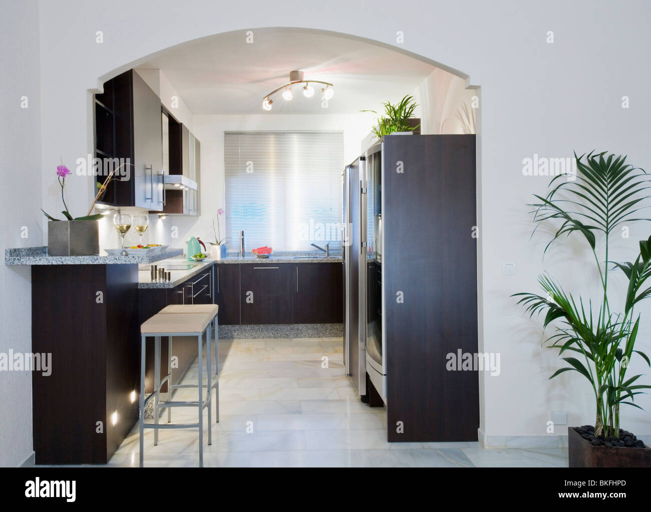 Zimmerpflanze neben Rundbogen, moderne weiße Küche mit Deckenstrahler und  schwarzen Einbauschränke und Einheiten Stockfotografie - Alamy