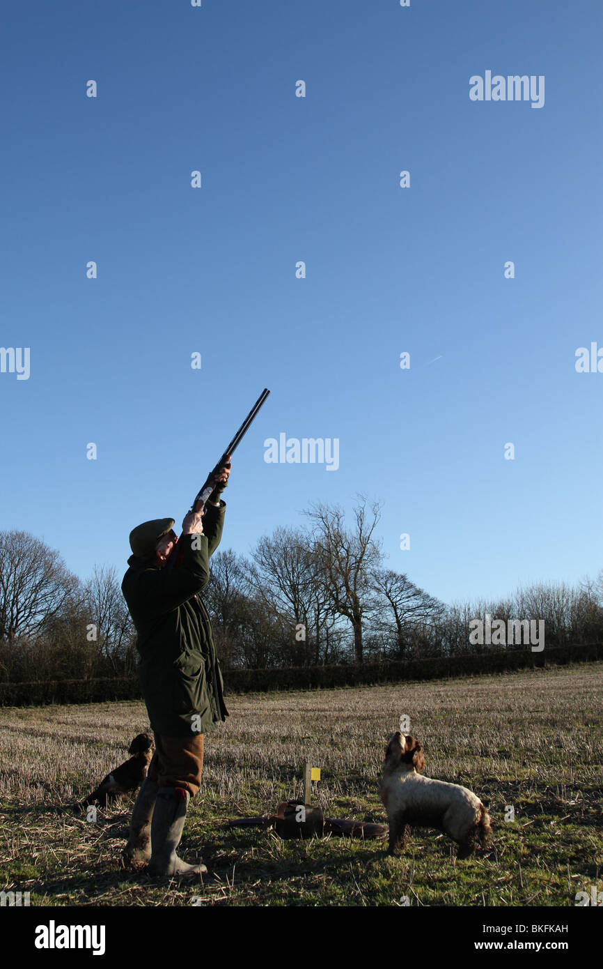 Eine Pistole shooting Spiel in einem Feld mit seiner Jagdhunde in einem Feld Stockfoto