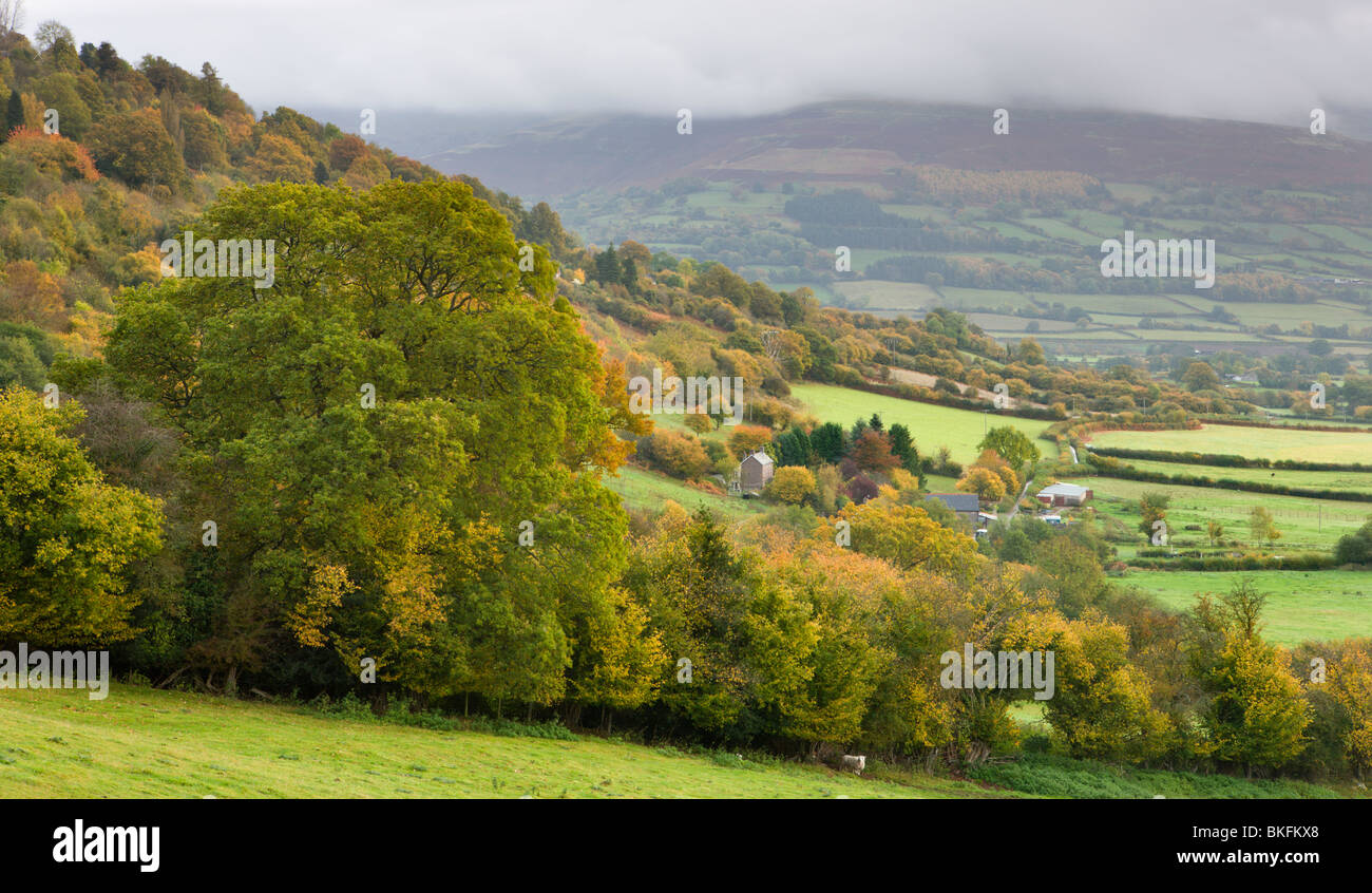 Herbstszenen Landschaft in der Nähe des Dorfes Bwlch in Brecon-Beacons-Nationalpark, Powys, Wales, UK. Herbst (Oktober) 2009 Stockfoto