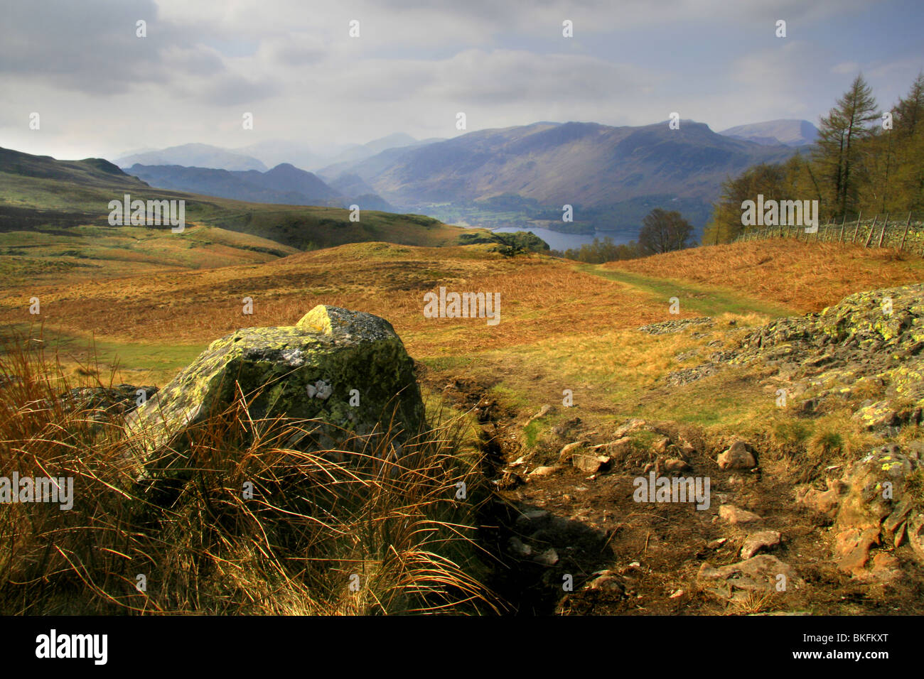 Südlichen Borrowdale vom Aufstieg, Walla Crag Stockfoto