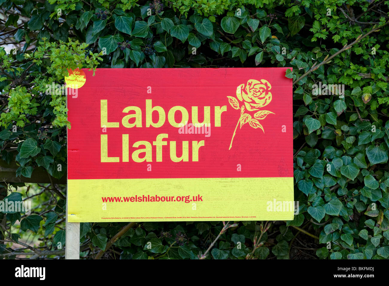 Welsh Labour Party Zeichen angezeigt wird, während eine allgemeine Wahl Stockfoto