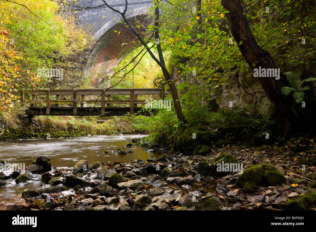 Fluss Wye mit Brücke sichtbar hinter Chee Dale in der Nähe von Bakewell im Peak District Nationalpark Derbyshire England Stockfoto