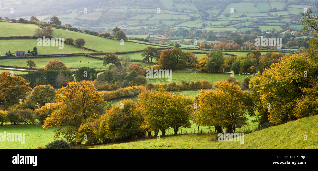 Eine hügelige Landschaft in Herbstfarben in der Nähe von Bwlch, Brecon Beacons National Park, Powys, Wales, UK. Herbst (Oktober) 2009 Stockfoto
