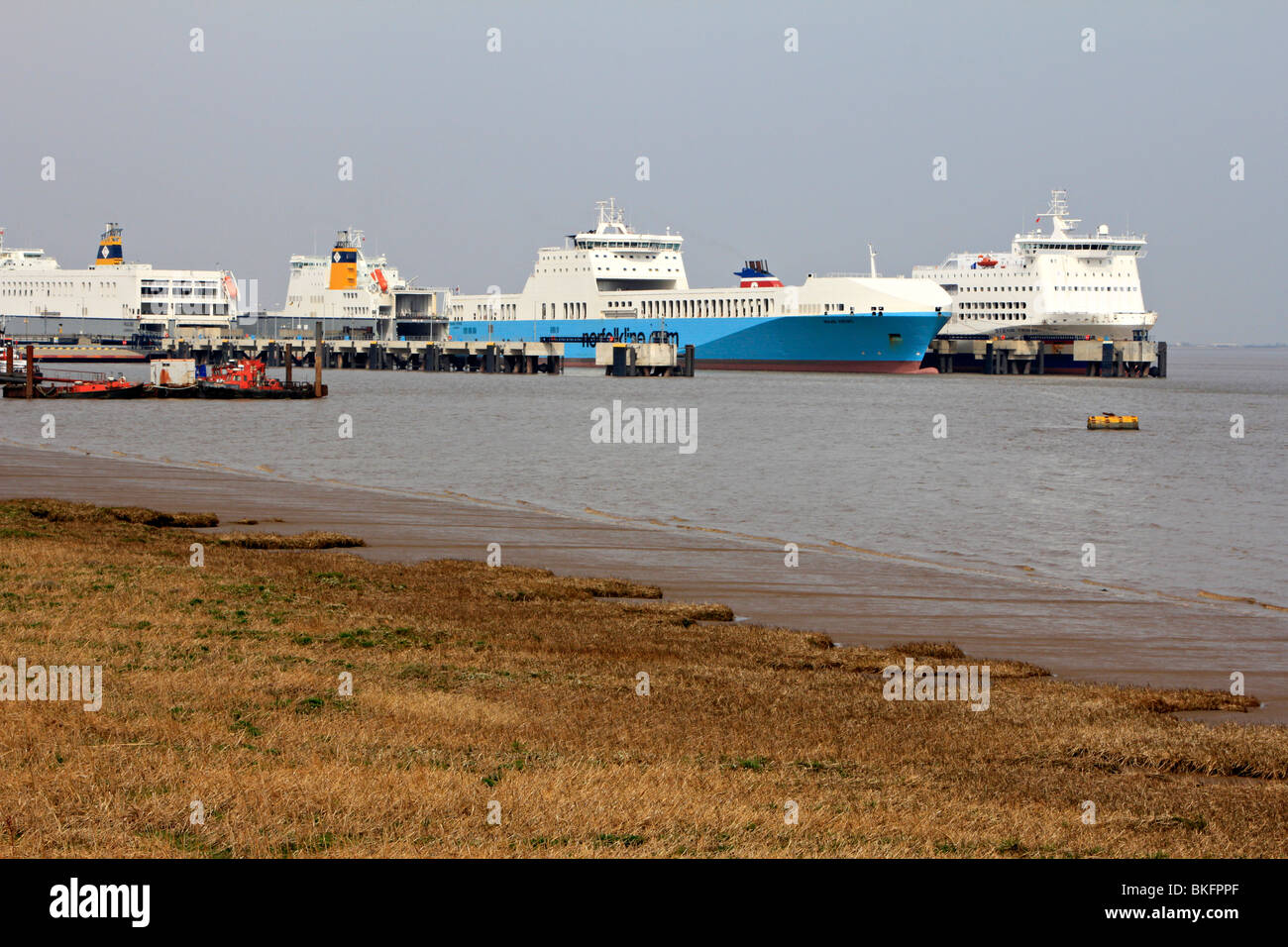 Humber Sea terminal Immingham dockt Lincolnshire Humberside England uk gb Stockfoto