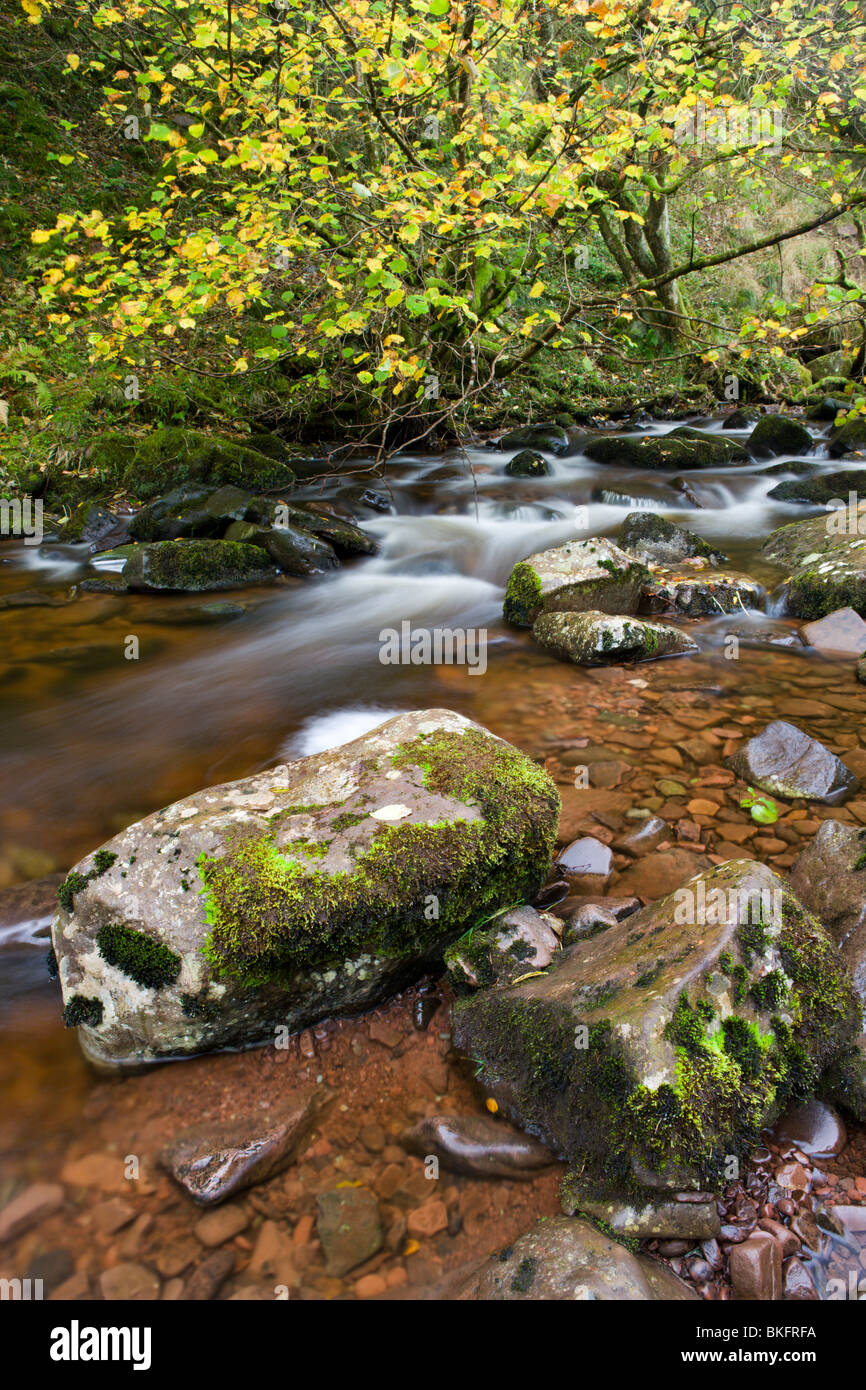Herbstliche Flusslandschaft am Fluss Caerfanell im Blaen-y-Glyn, Brecon Beacons National Park, Powys, Wales, UK. Stockfoto