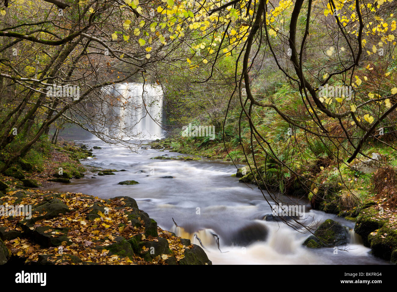 Sgwd yr Eira Wasserfall am Fluss Afon Mellte in der Nähe von Ystradfellte, Brecon Beacons National Park, Powys, Wales, UK. Stockfoto