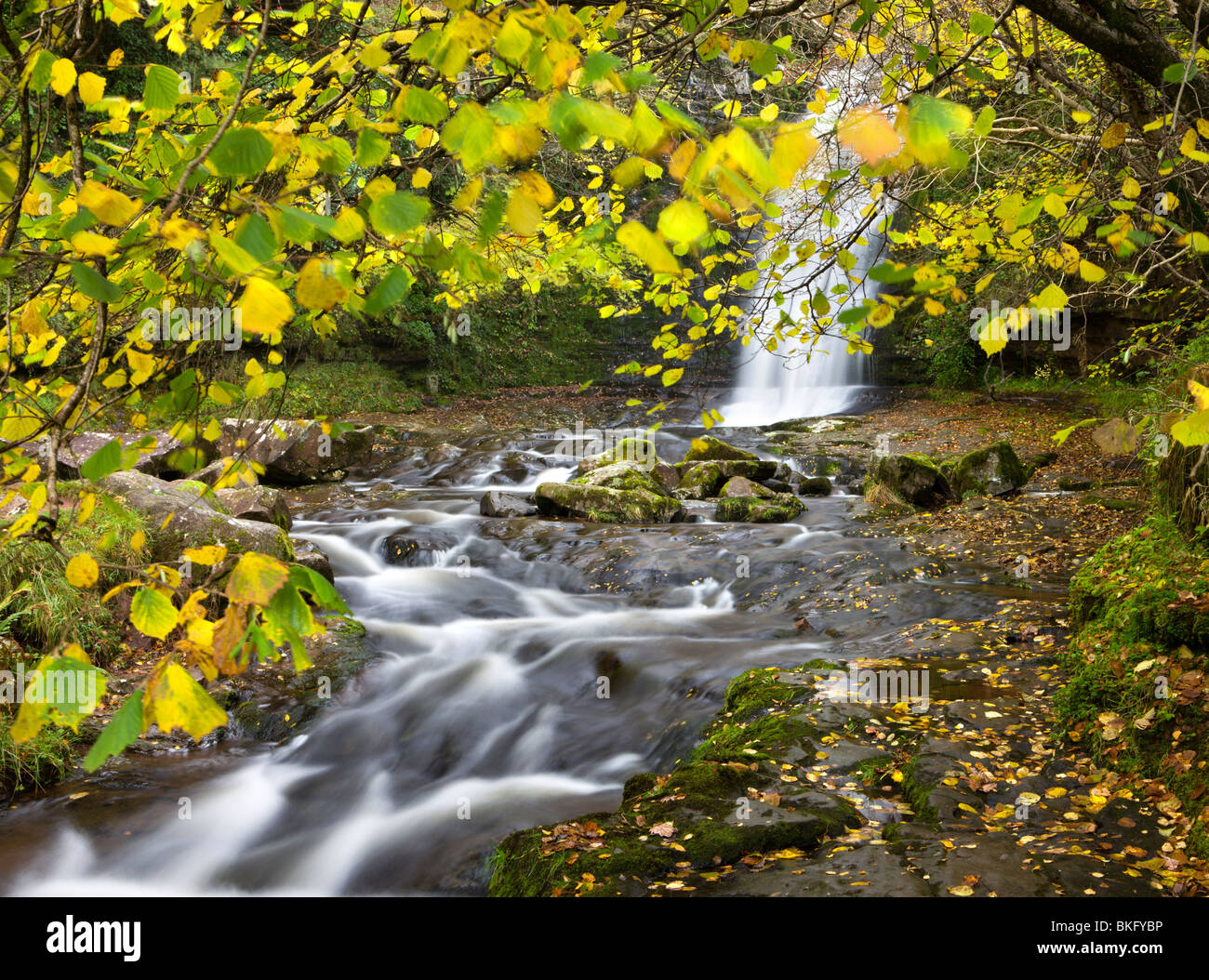 Wasserfall auf den Fluss Caerfanell an Blaen-y-Glyn, Brecon Beacons National Park, Powys, Wales, UK. Herbst (Oktober) 2009 Stockfoto