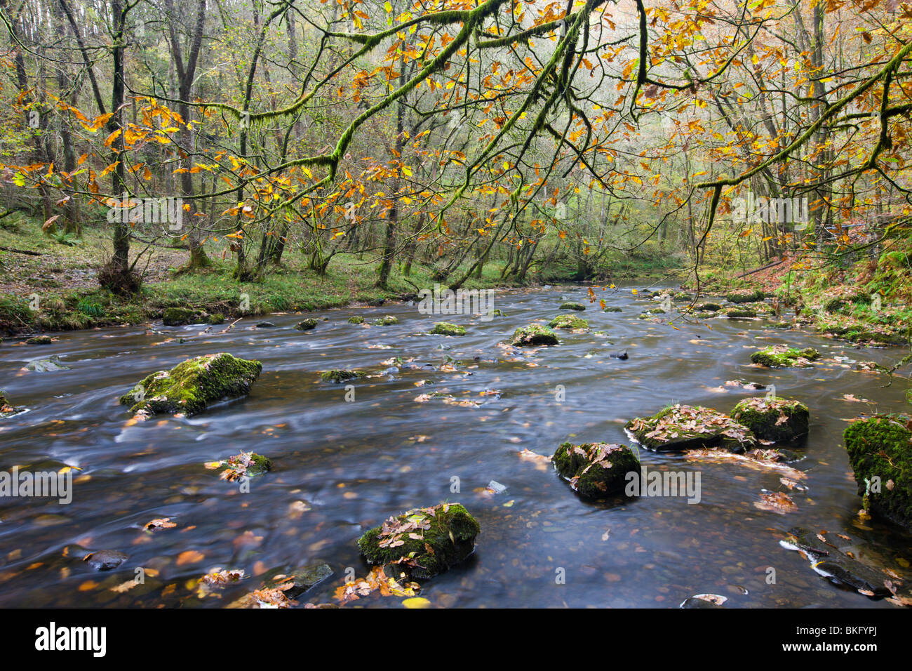 Herbstliche Landschaft vom Fluss Afon Pyrddin in der Nähe von Pontneddfechan, Brecon Beacons National Park, Powys, Wales, UK. Stockfoto