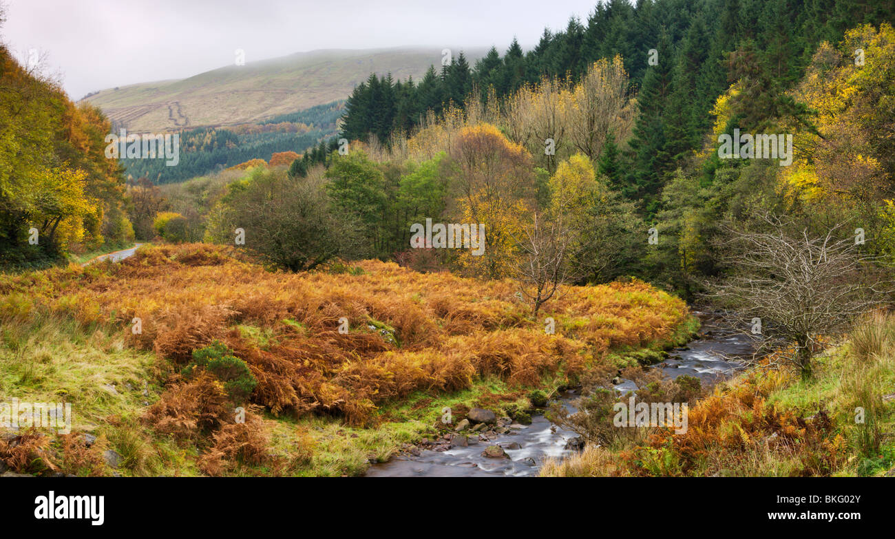 Der Fluss Caerfanell an Blaen-y-Glyn, Brecon Beacons National Park, Powys, Wales, UK. Herbst (Oktober) 2009 Stockfoto