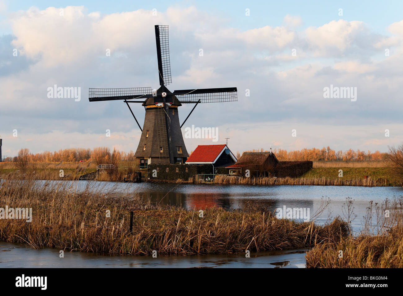 Windmühlen von Kinderdijk oder Molen in den Niederlanden an einem sonnigen Winterabend. Stockfoto