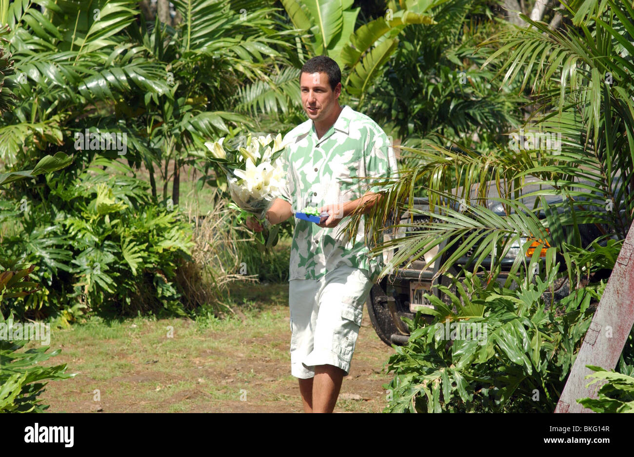 50 ERSTE DATES (2004) ADAM SANDLER 50FD 001-FH Stockfoto