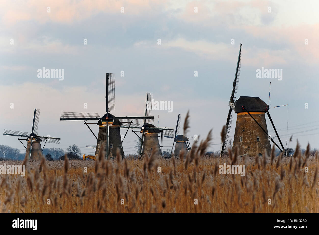 Windmühlen von Kinderdijk oder Molen in den Niederlanden an einem sonnigen Winterabend. Stockfoto