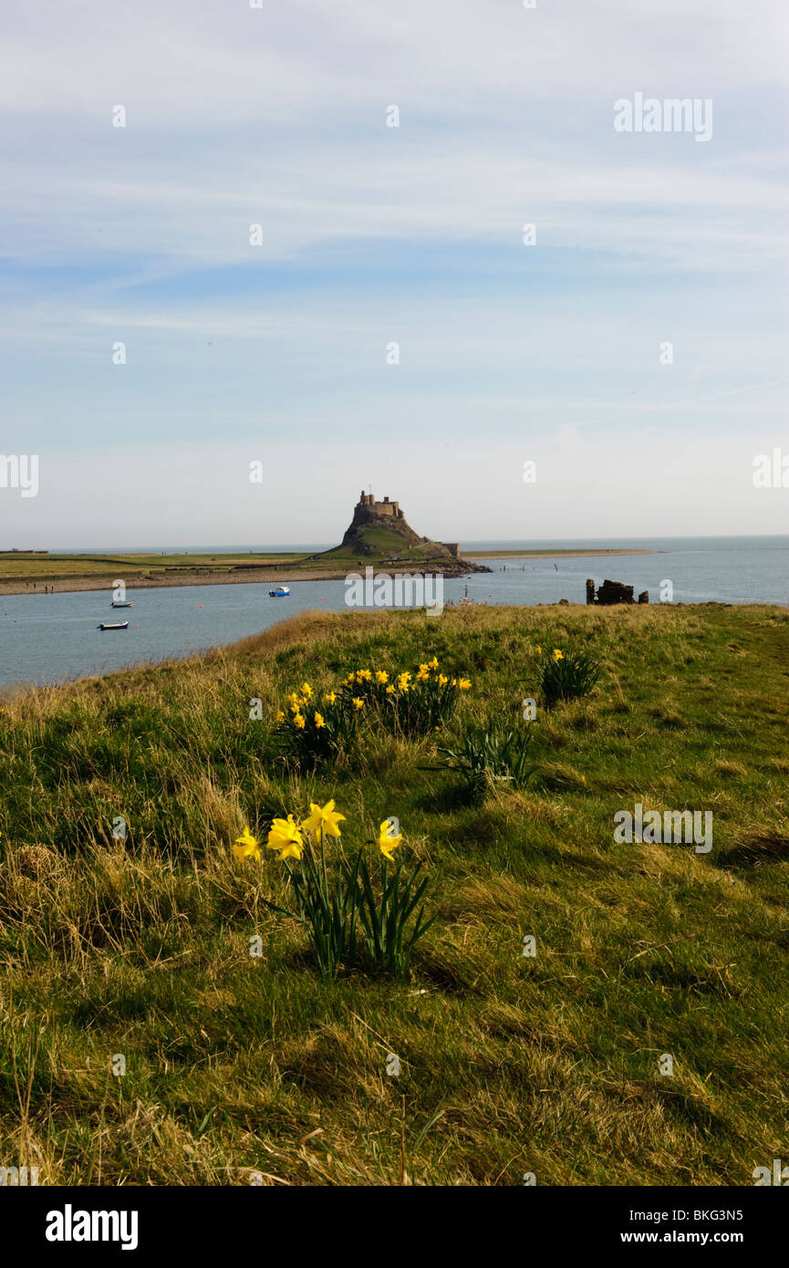 Heilige Insel Lindisfarne Stockfoto