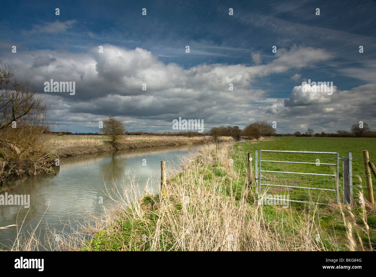Am Oberlauf der Themse in der Nähe von Schloss Eaton in Cotswolds, Wiltshire, Großbritannien Stockfoto