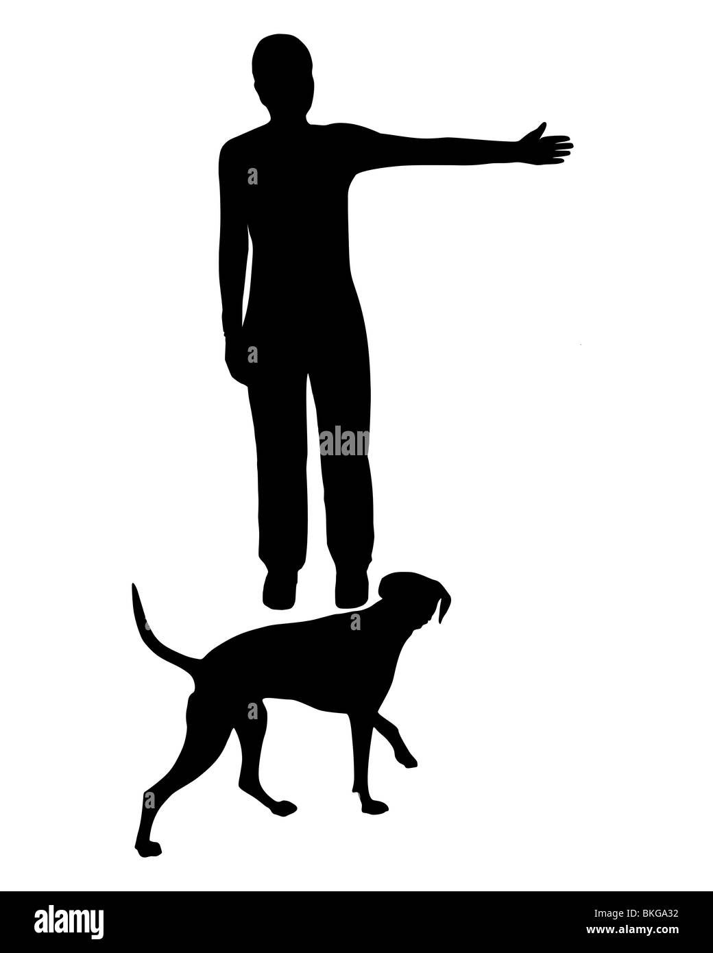 Hund Ausbildung (Gehorsam): Befehl: gehen Sie nach rechts! Stockfoto