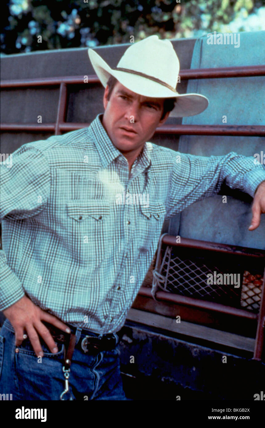 FLEISCH UND KNOCHEN (1993) DENNIS QUAID FHBN 003 Stockfoto