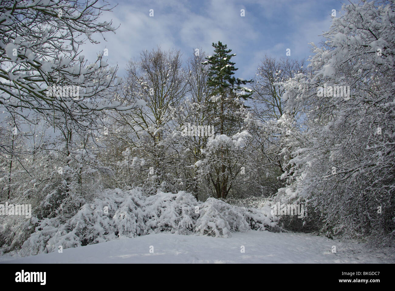 Winterse Landschap Op Witte Paasdag 2008 Stockfoto