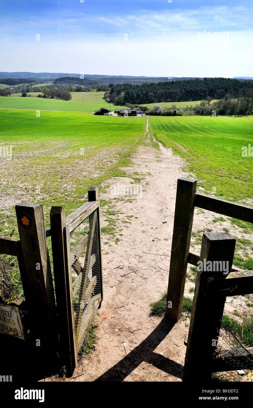 Wanderweg und Tor auf Surrey Hills Stockfoto