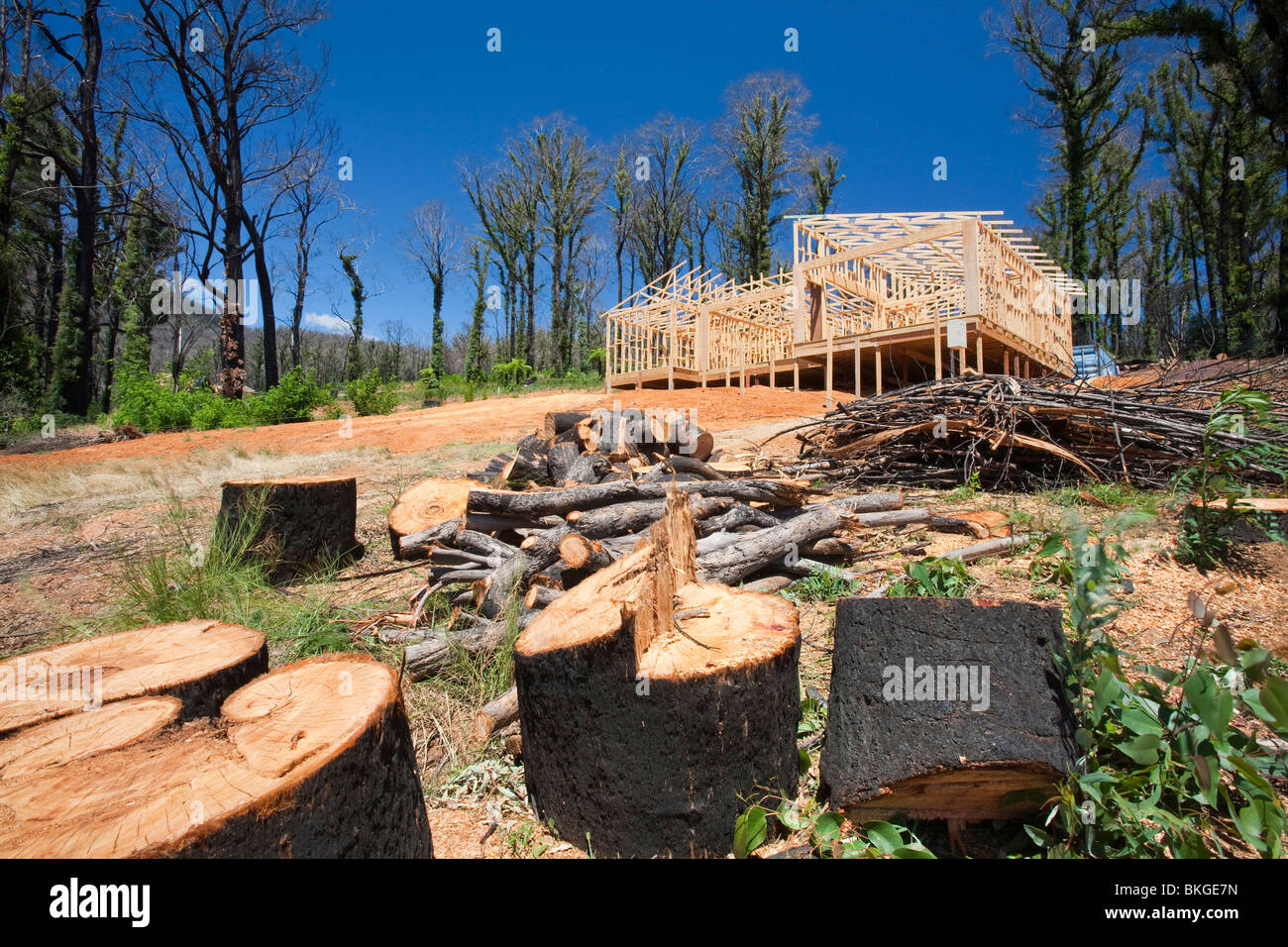 Umbau auf einem verbrannten Grundstück in Marysville wurde der am schlimmsten betroffenen Gemeinde die katastrophalen 2009 Buschbrände Stockfoto