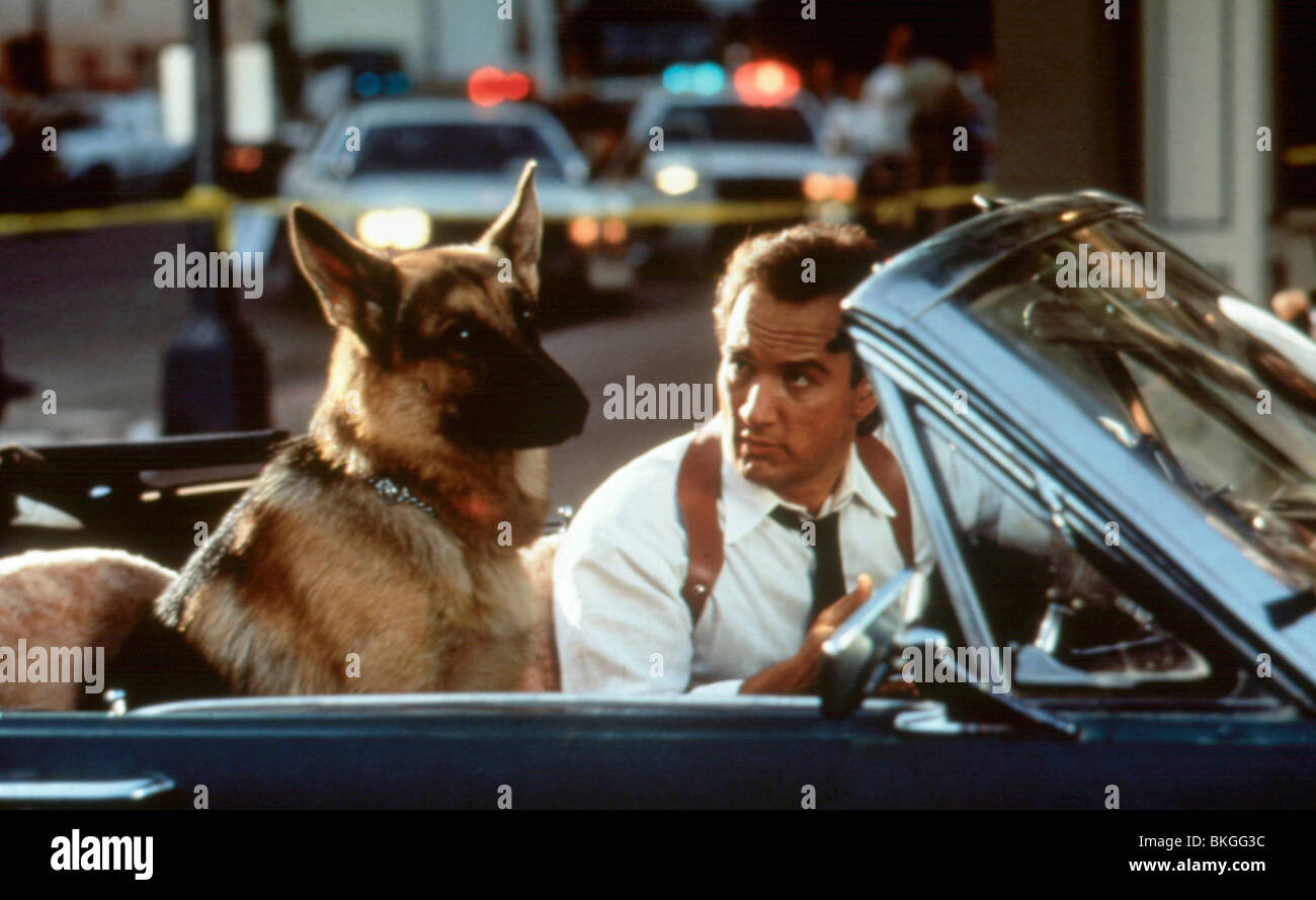 K-9-1989 K9 (ALT) JAMES BELUSHI Stockfoto